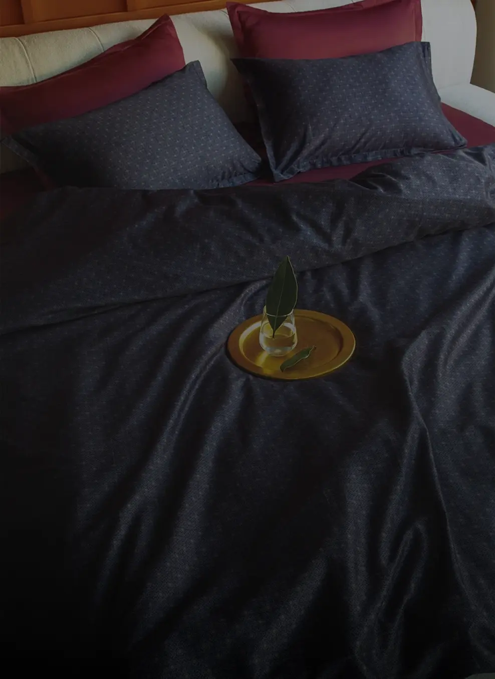 Referans kartı ISSIMO HOME banner